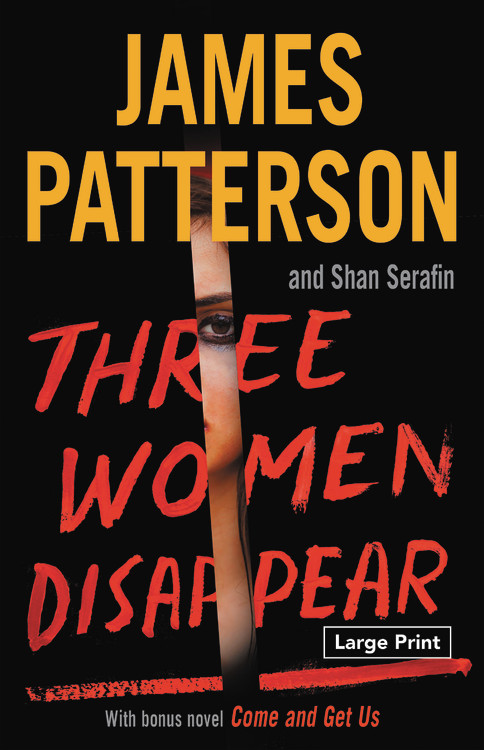 three women disappear book