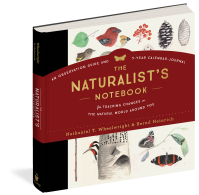 The Naturalist’s Notebook